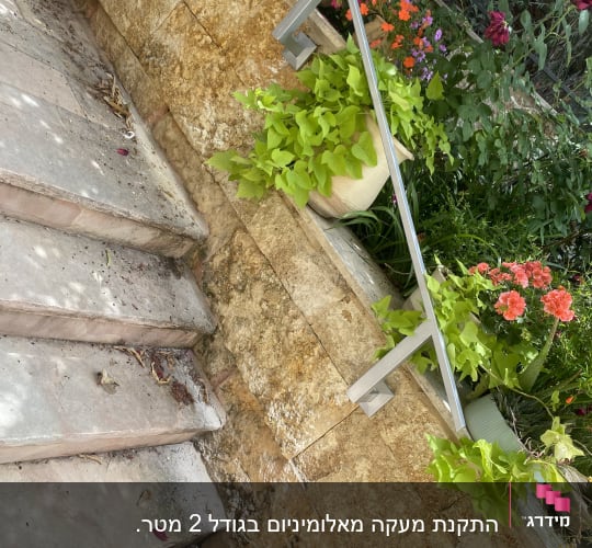 מעקה מתכת ליד מדרגות אבן עם עציצים